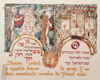 Котики из старинной синагоги в Толедо