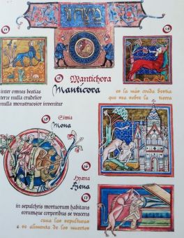 Мантикорка из старинной синагоги в Толедо