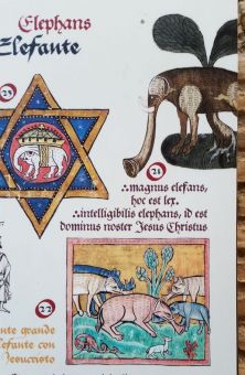 Слоники из старинной синагоги в Толедо