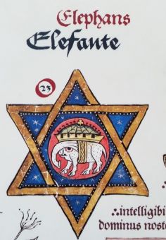 Слоники из старинной синагоги в Толедо