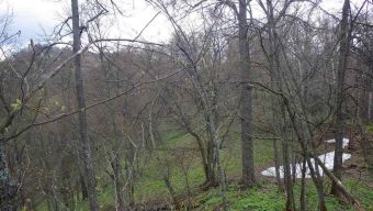 дальшевгоры