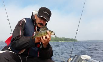 Окунек в Высоцке