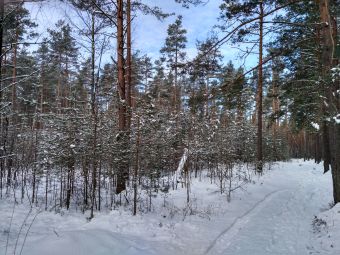 16 апреля 2017 2