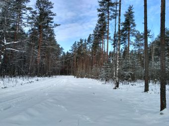 16 апреля 2017