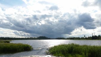 Дождевой фронт