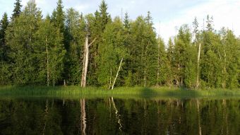 Теплый свет