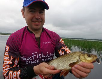 Вова и язик