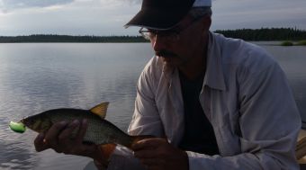 Язик на маласик