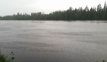 Дождик, дождик, пуще