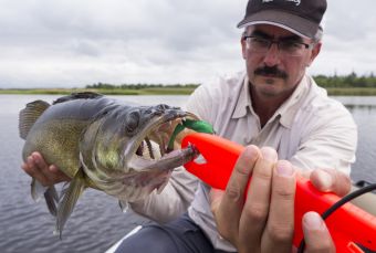 Судак на 3300