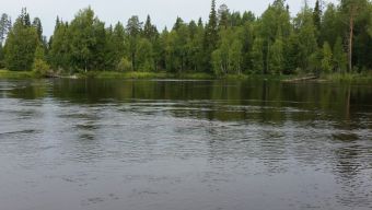 Где-то тут нас ждет тослстые рыбасики