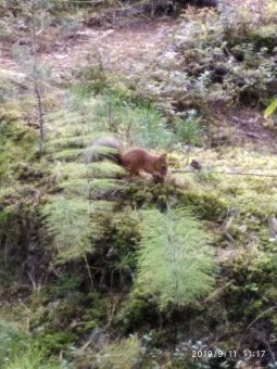 2019091353pXcjg2SY1r3LNS 0nGWU large