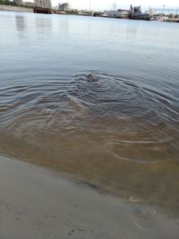 20190913DBQztaaUqZdZiSNY GNfUH large