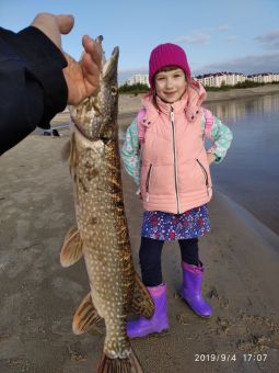 20190913hit5olmWmCU0ZNoY 2sZxn large