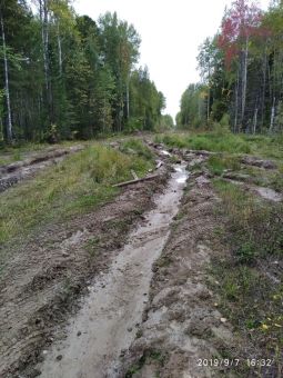 20190913xvBu6H4BelG4Ykdb nzGYd large