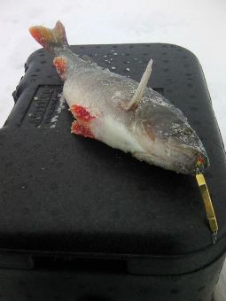 20190305nUMGSpB7pqJ5R0wu uG0tW large