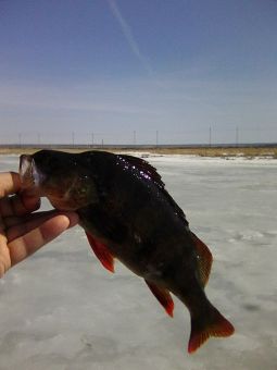 20190510l6xqw5iQSm2aI8b1 kKd0U large