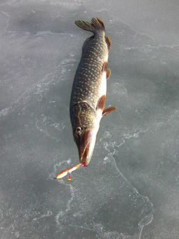 20190510tLrGiCbbEhCPOpXH GGWCx large