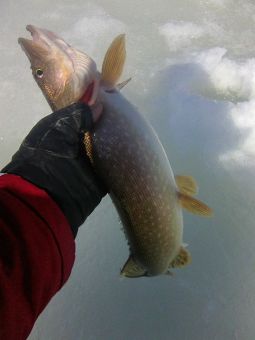 20190510eYSR9grGW9BHS8Nz OHPpk large