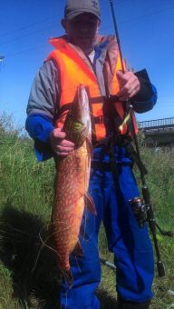 Щука на Неве