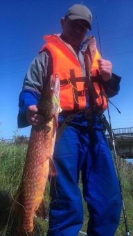 Щука на Неве