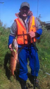 Щука на Неве