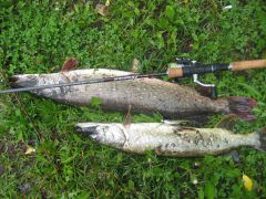 тестовая хрень