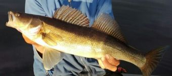 IMG 20170710 WA0010 1 1