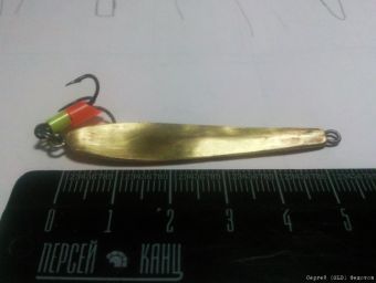 Типа сальмо3 22