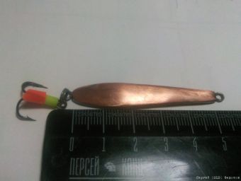 Типа сальмо3 2