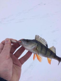 IMG 4469 25 12 16 01 21