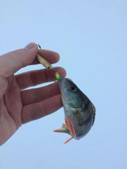 IMG 4468 25 12 16 01 21