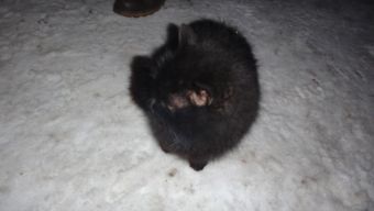 открытие сезона 2017