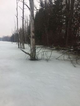 IMG 4850