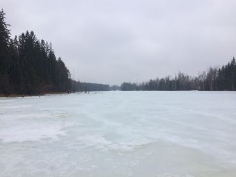 IMG 4841