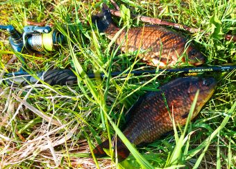 КарасикиПикер