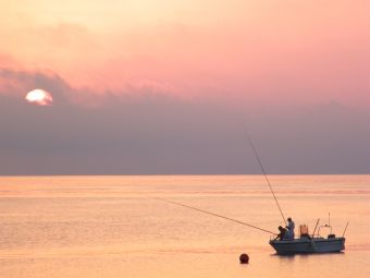 Кипр Протарос 2017г 210