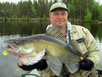 Вологодчина 2017