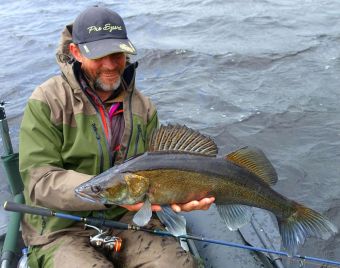 Вологодчина 2017