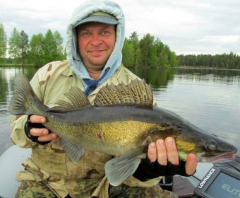 Вологодчина 2017