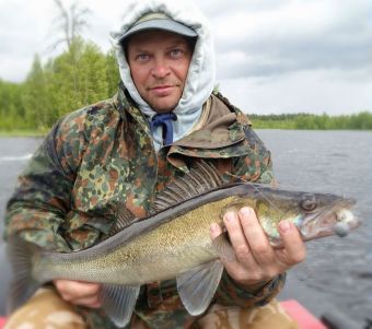 Вологодчина 2017