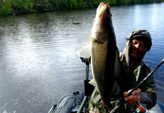 Вологодчина 2017