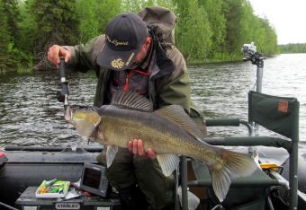 Вологодчина 2017