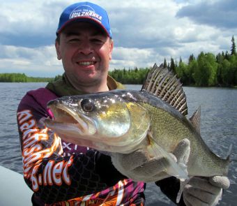 Вологодчина 2017