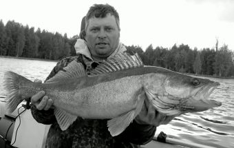 Вологодчина 2017