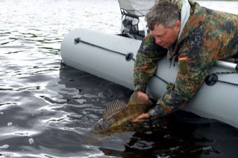 Вологодчина 2017