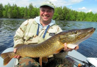 Вологодчина 2017