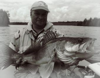 Вологодчина 2017