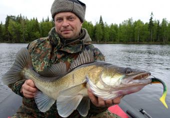 Вологодчина 2017