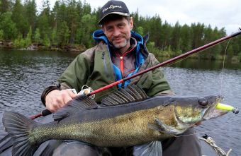 Вологодчина 2017